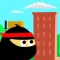 Daylight Ninja
