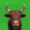 Mad Bullz