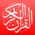 محاور سور القرآن الكريم