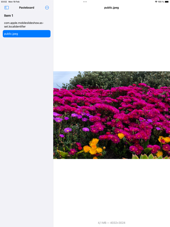 Pasteboard Viewer iPad Screenshots