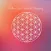 Cosmic Oneness