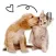 CatDog Translator