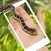 Snake On Screen Scary
