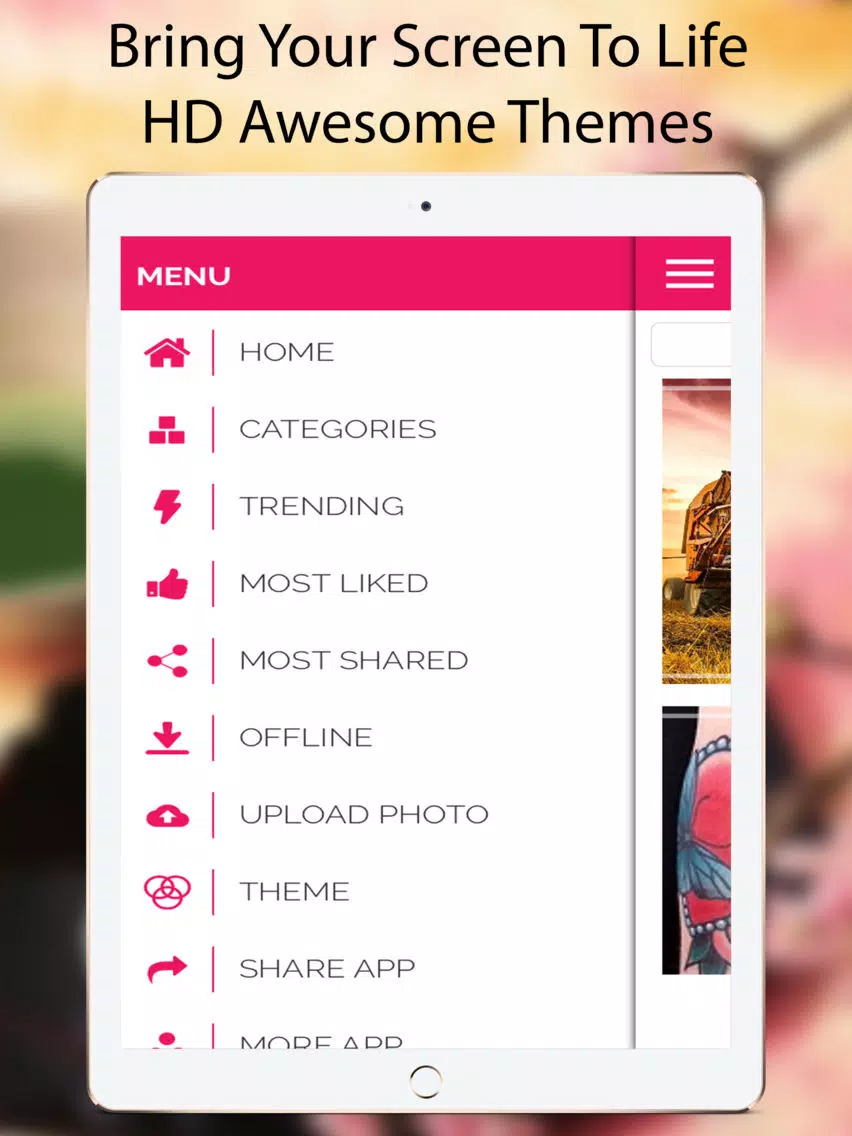 HD Wallpapers & Themes & Lock Screen Daily Updated iPad Screenshots