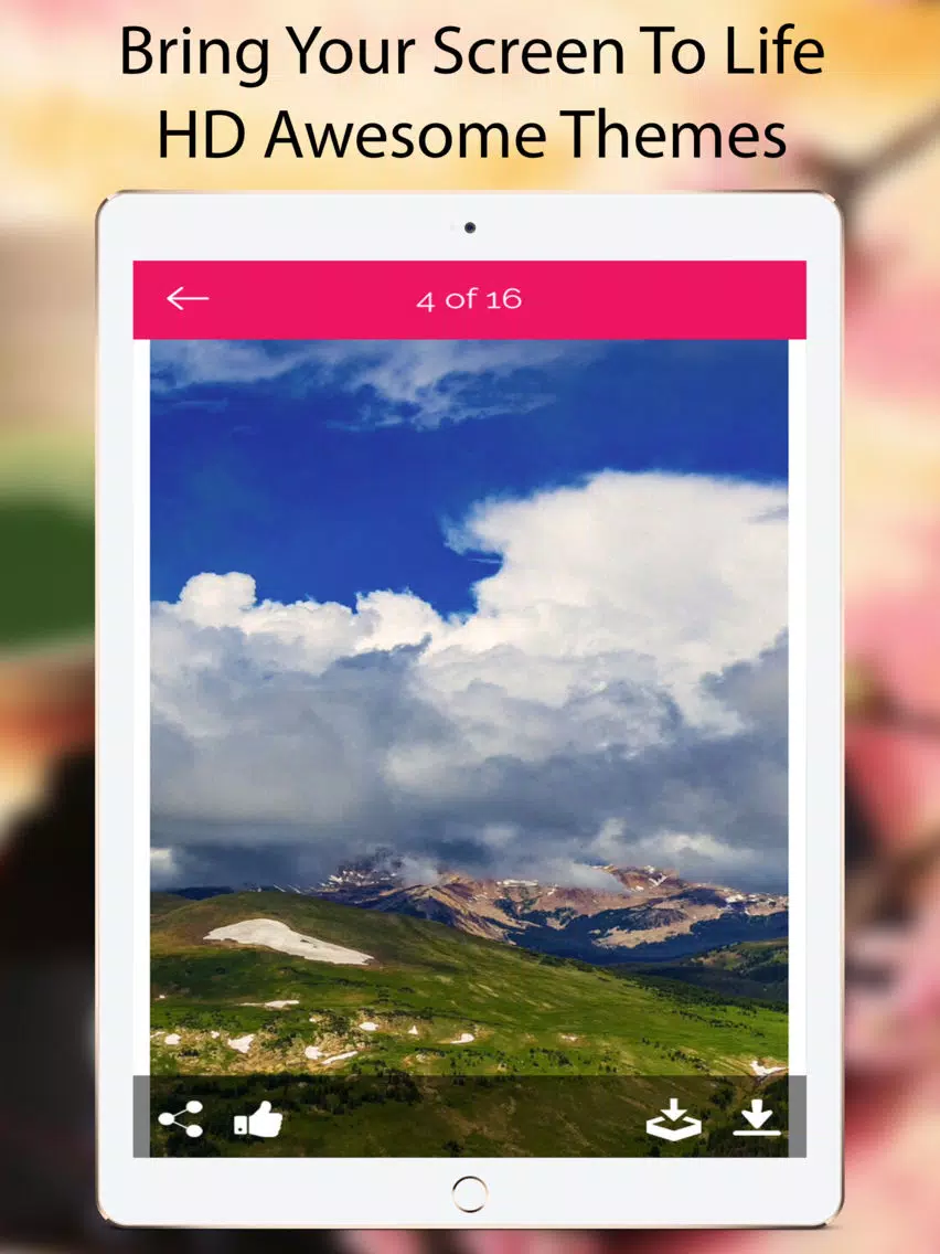 HD Wallpapers & Themes & Lock Screen Daily Updated iPad Screenshots