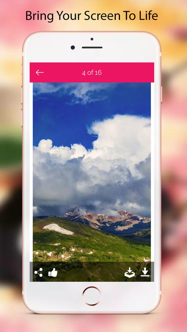 HD Wallpapers & Themes & Lock Screen Daily Updated Screenshots