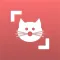 Cat Scanner
