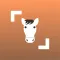 Horse Scanner