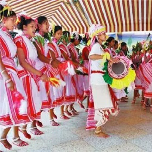 Sadri Dance Videos Sadri Dance Videos