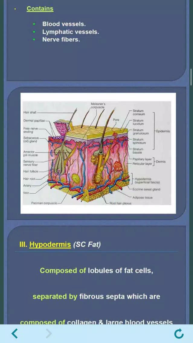 Learn all Skin Diseases Screenshots
