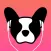 LillyPlayer Video Player