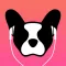 LillyPlayer Video Player