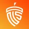 Nutshell - AI Summary Tool