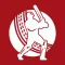 Live Cricket WC 2019