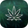 The Green Life