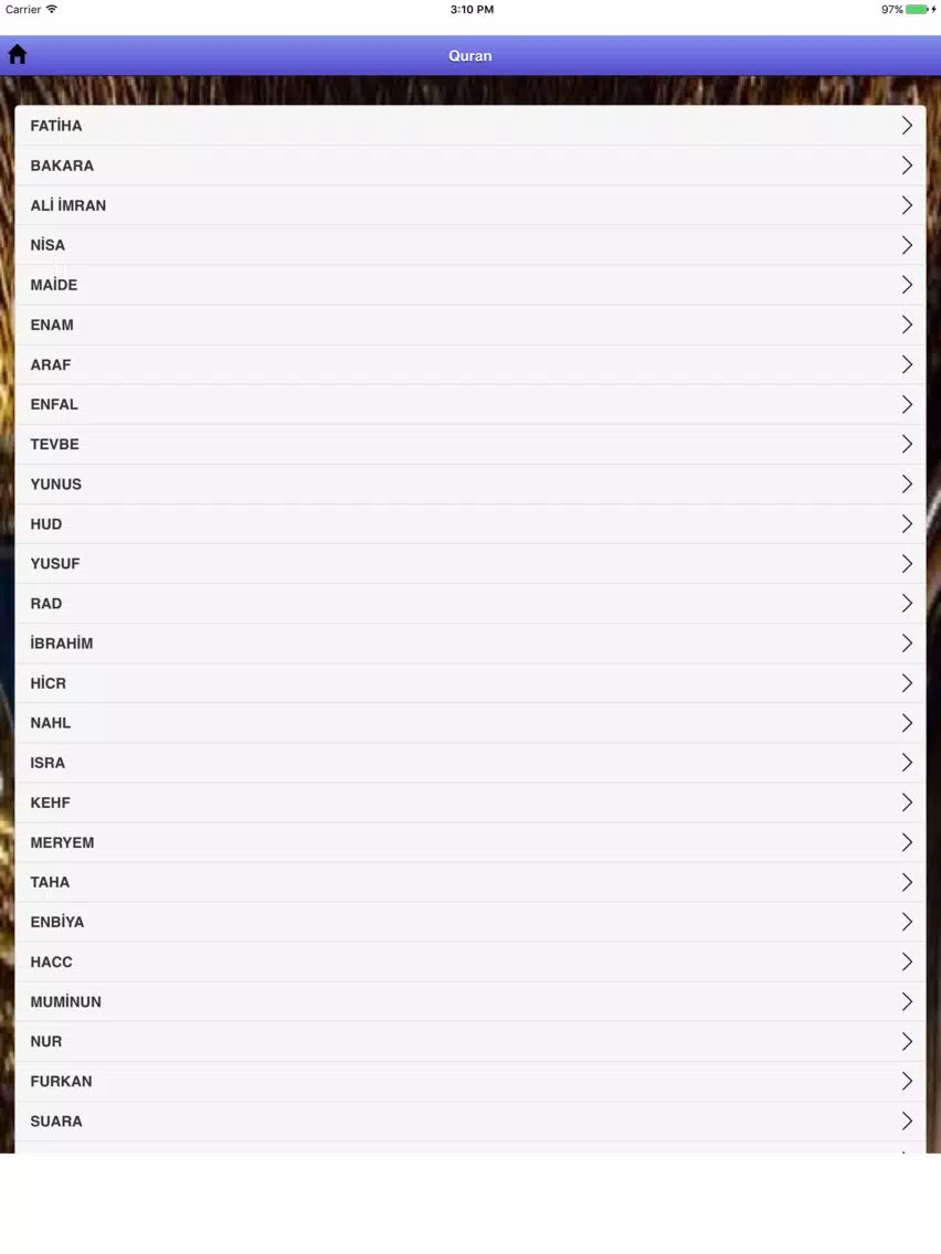 Kuran - Suat Yıldırım versiyonu iPad Screenshots