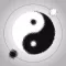 Chinese-Puzzle