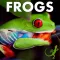 Learn About Frogs!