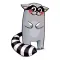 Racoon Stickers Pack