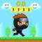 Ninja Boy - Tiny Hero