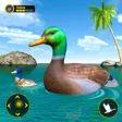 Duck Life Simulator Bird Game Duck Life Simulator Bird Game