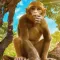 Monkey Simulator - City Life