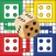 Ludo Offline Board Game
