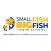 Small Fish Big Fish Swim