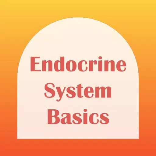 Endocrine System Basics Endocrine System Basics