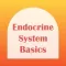Endocrine System Basics
