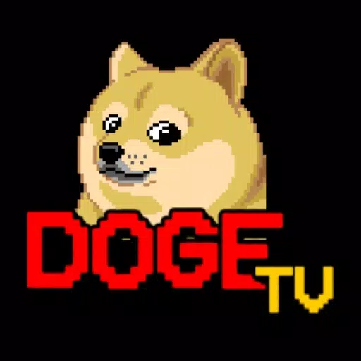 DTV Player