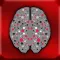 Smarter Thinking 2