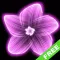 A Blossoming Flower Free
