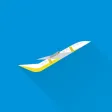Flight Tracker Expert