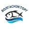 ВолгаСнэкТорг