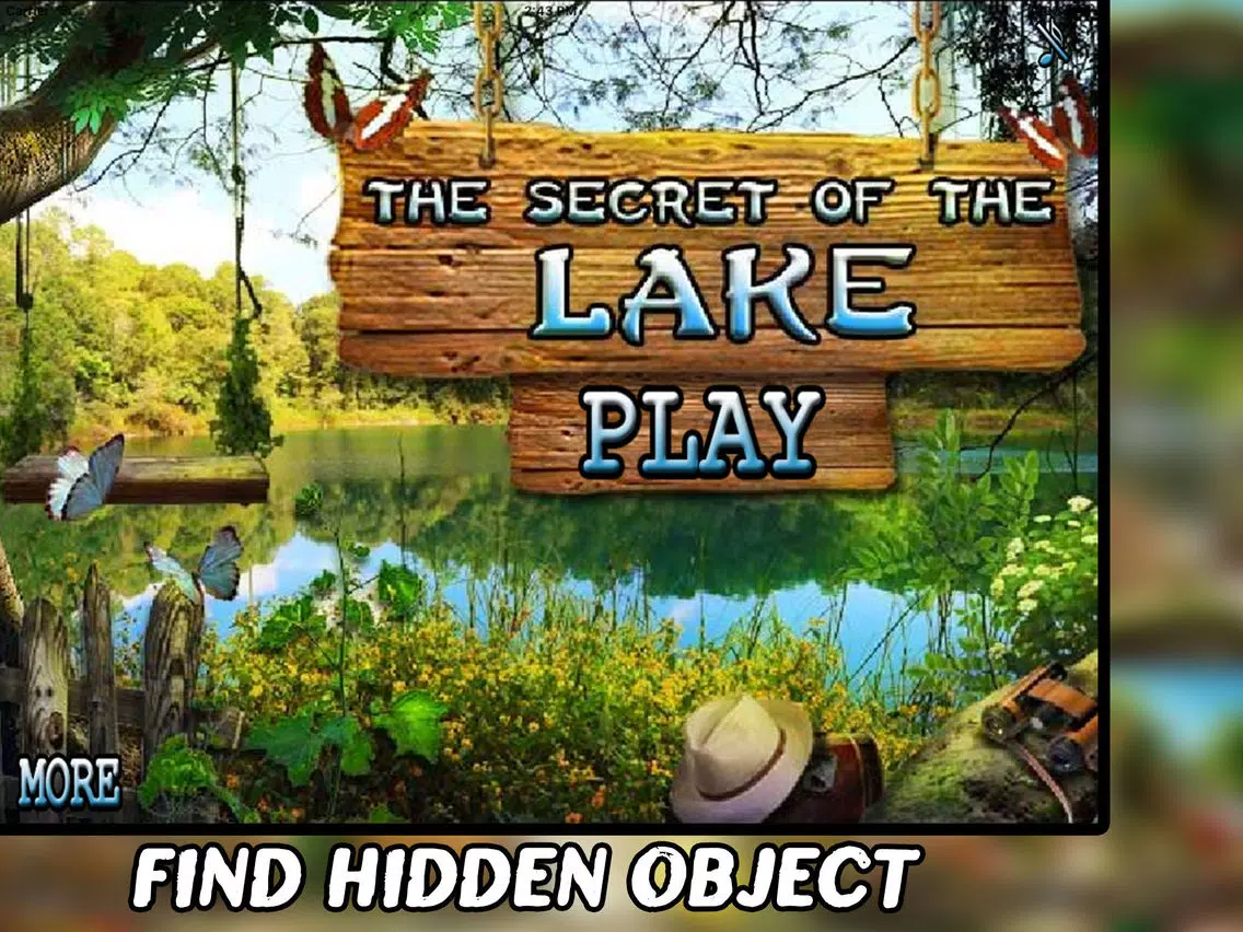 The Secret of The Lake Hidden Object iPad Screenshots