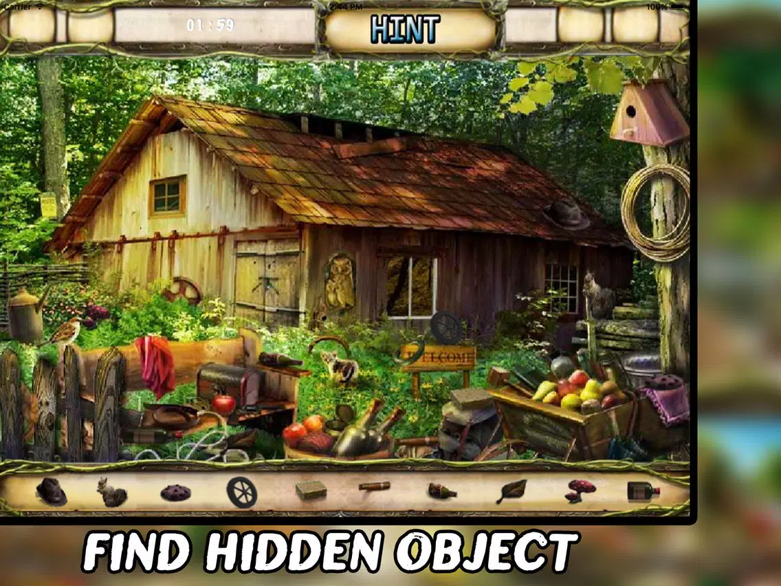 The Secret of The Lake Hidden Object iPad Screenshots