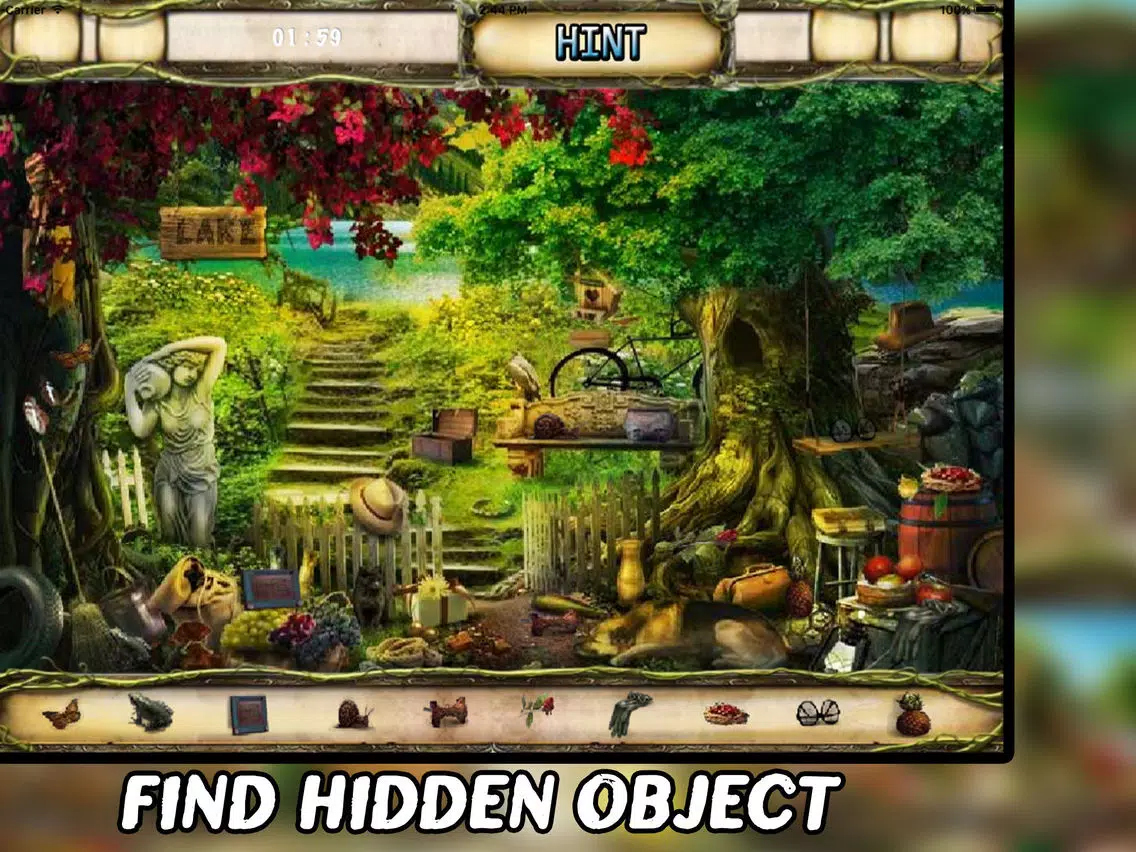 The Secret of The Lake Hidden Object iPad Screenshots