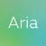 ARIA Guide