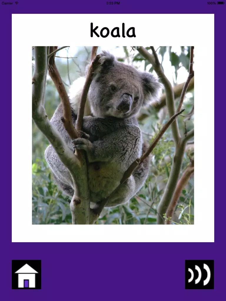 Australian Baby & Toddler Flash Cards iPad Screenshots