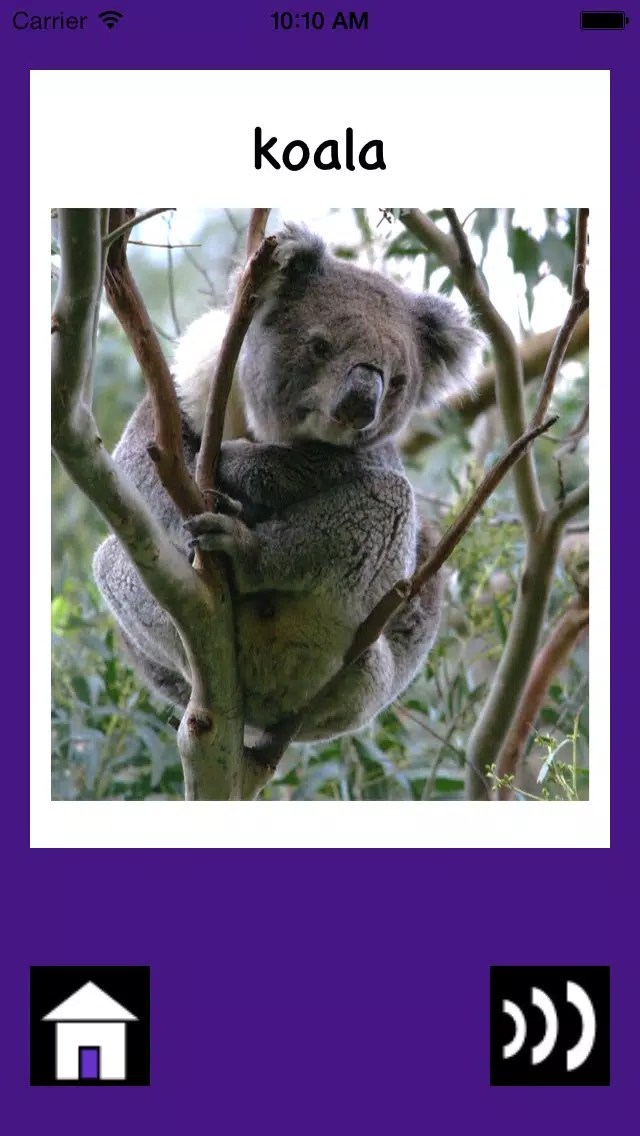 Australian Baby & Toddler Flash Cards Screenshots