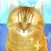 3D Cat Companion-Always With u