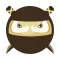 Rushing Ninja