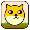 Help Dog - dog games