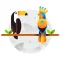 Bird ID-Picture&Audio