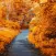 Fall wallpaper HD