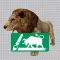 African Animals 3D
