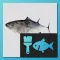 Fish 3D Reference