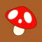 FunGuide: Mushroom Identifier