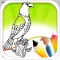 Bird Coloring Book